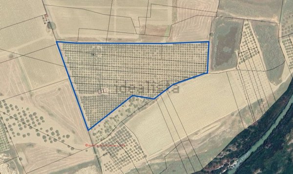 locale di sgombero in vendita a Cianciana