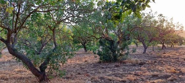 locale di sgombero in vendita a Cianciana
