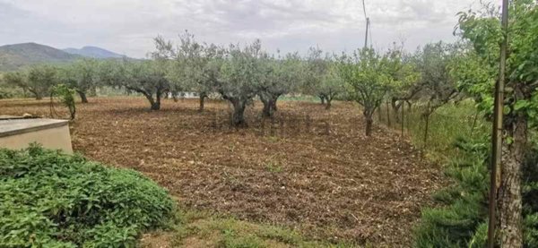 appartamento in vendita a Cianciana