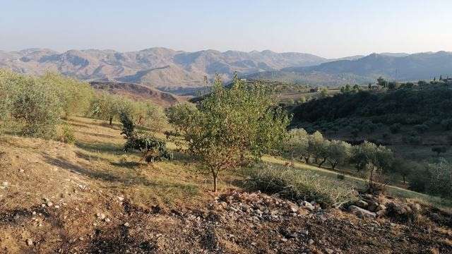 casa indipendente in vendita a Cianciana