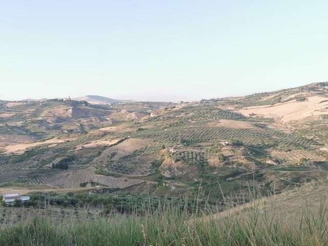 casa indipendente in vendita a Cianciana