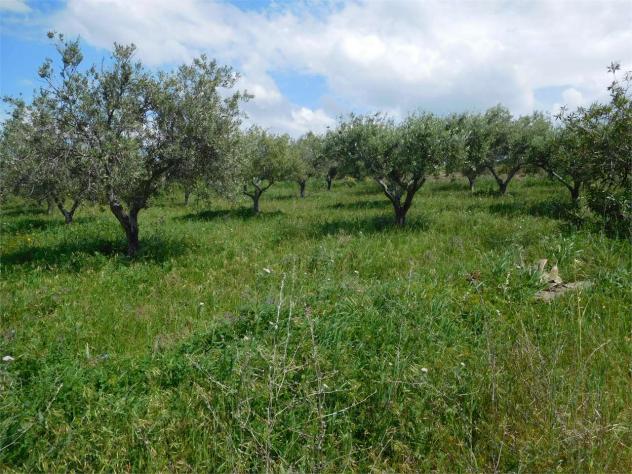 locale di sgombero in vendita a Favara