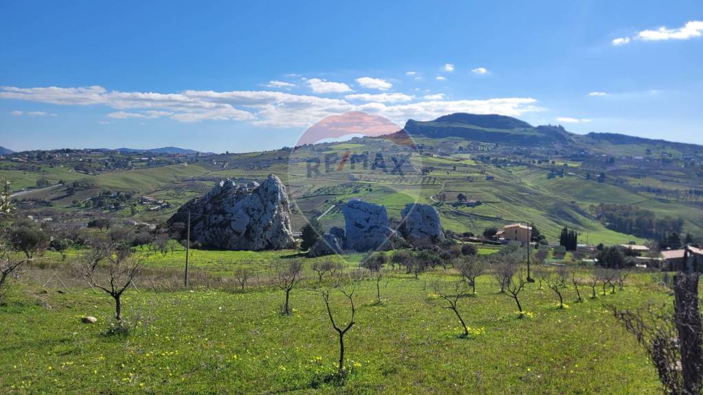 azienda agricola in vendita a Favara