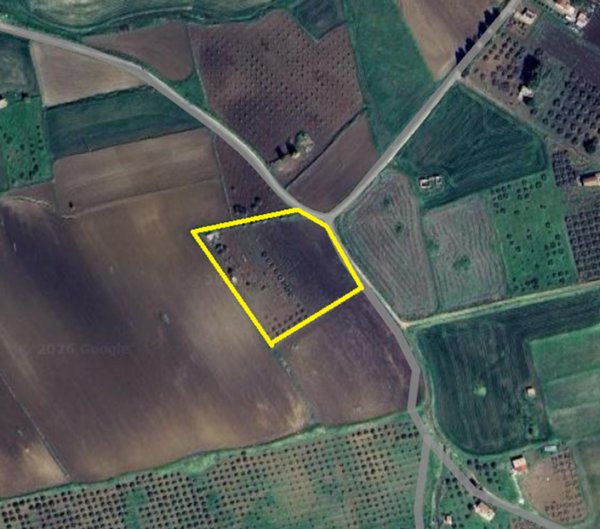 terreno agricolo in vendita a Joppolo Giancaxio