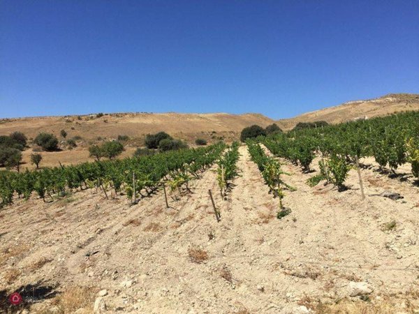 terreno agricolo in vendita a Licata