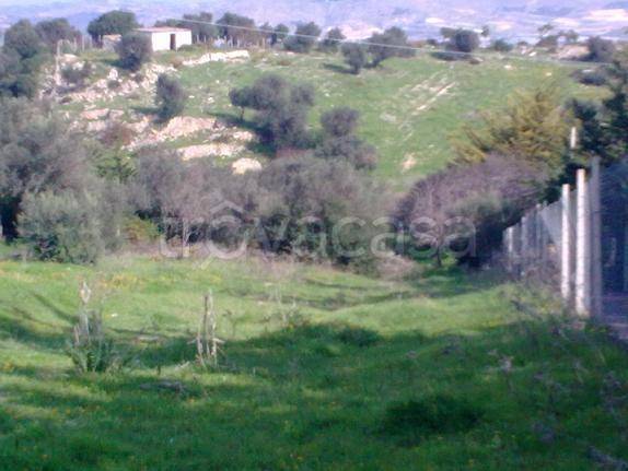 terreno agricolo in vendita a Licata