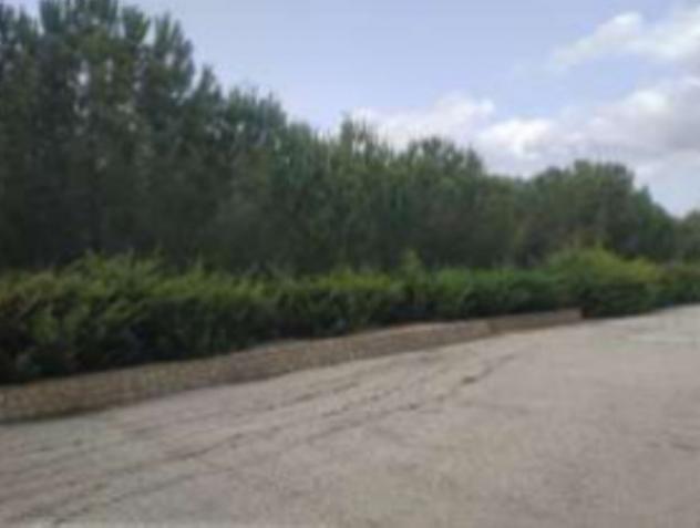 terreno agricolo in vendita a Licata