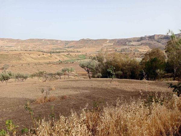 terreno agricolo in vendita a Licata