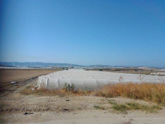 terreno agricolo in vendita a Licata
