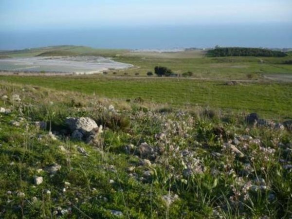 terreno agricolo in vendita a Licata