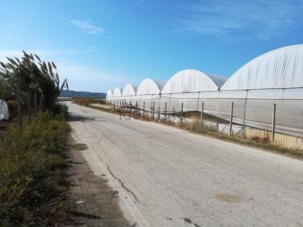 terreno agricolo in vendita a Licata
