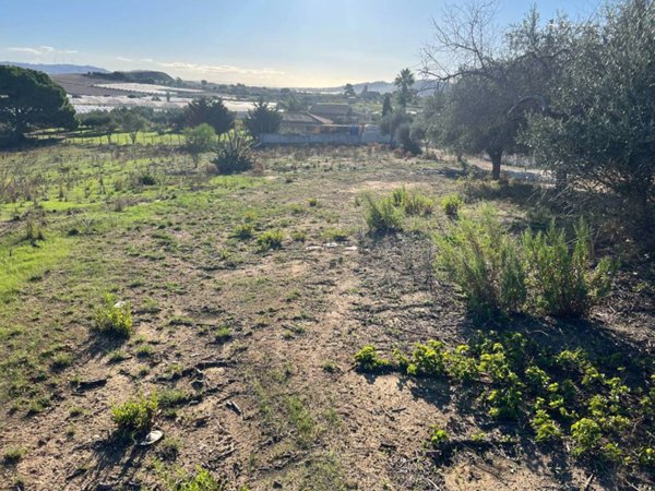 terreno agricolo in vendita a Licata in zona Torre di Gaffe