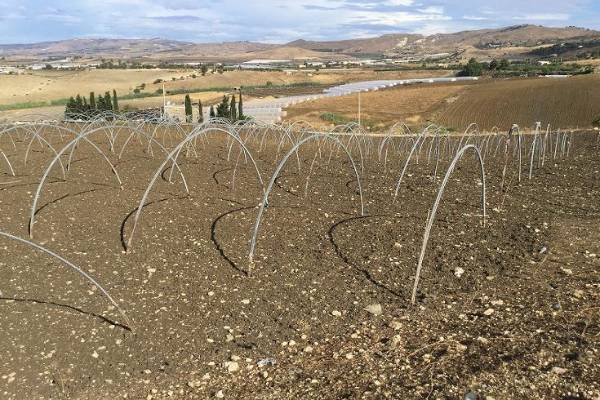 terreno agricolo in vendita a Licata
