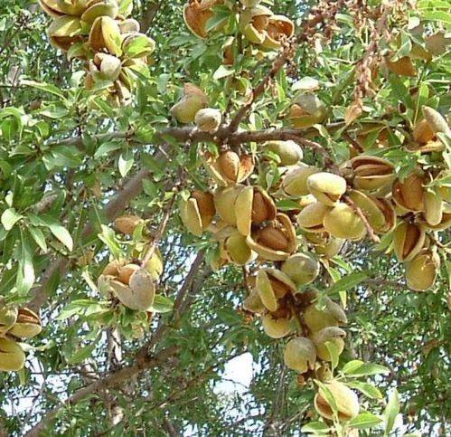 casa indipendente in vendita a Licata