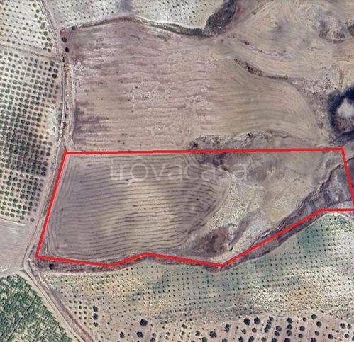 terreno agricolo in vendita a Licata