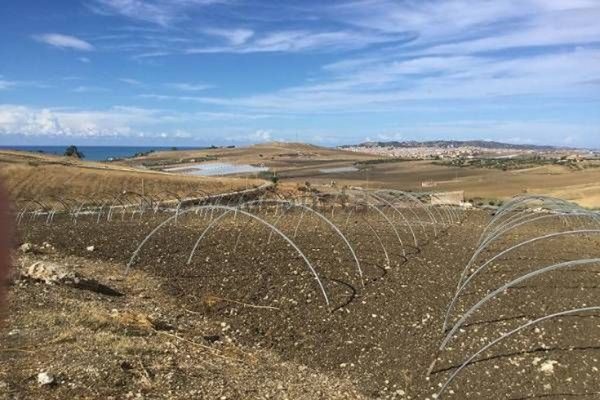 terreno agricolo in vendita a Licata