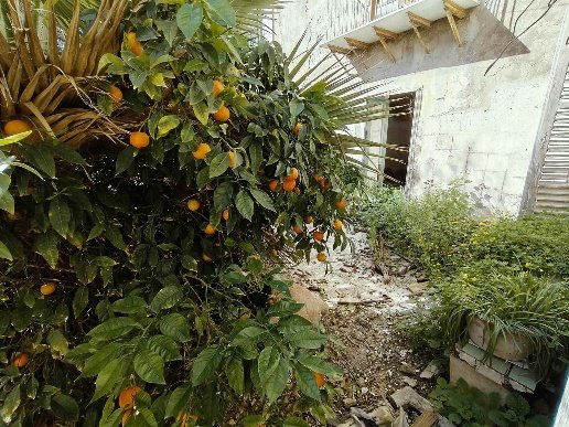 appartamento in vendita a Licata