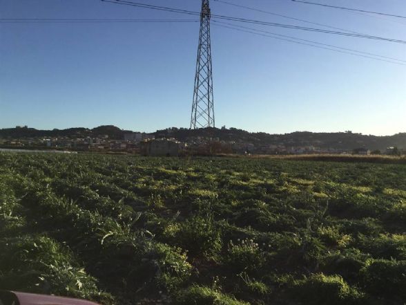 terreno agricolo in vendita a Licata in zona Torre di Gaffe
