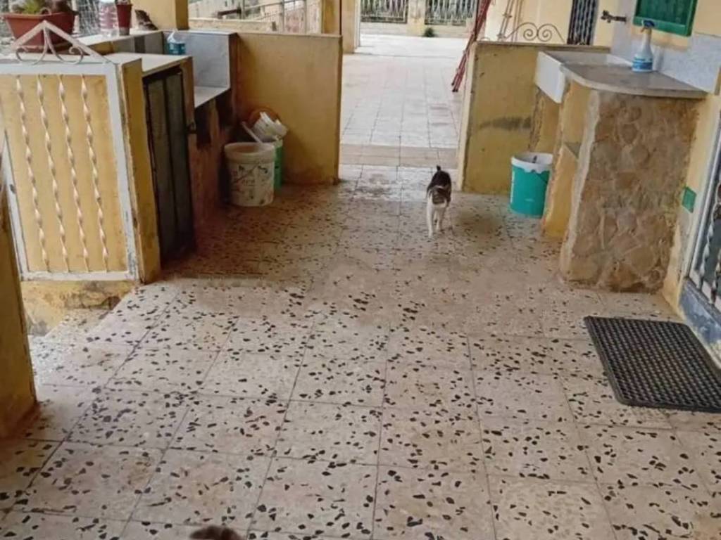 casa indipendente in vendita a Menfi