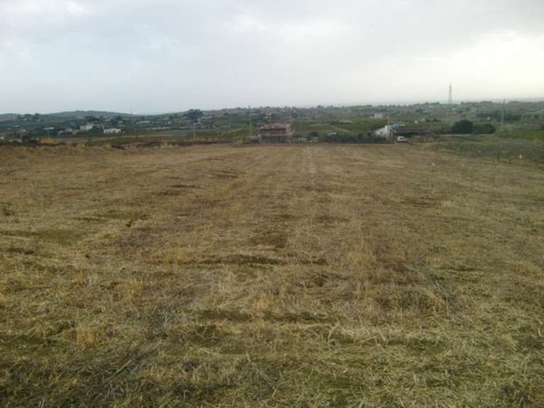terreno agricolo in vendita a Menfi