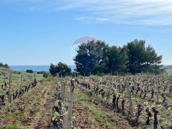 terreno agricolo in vendita a Menfi in zona Porto Palo