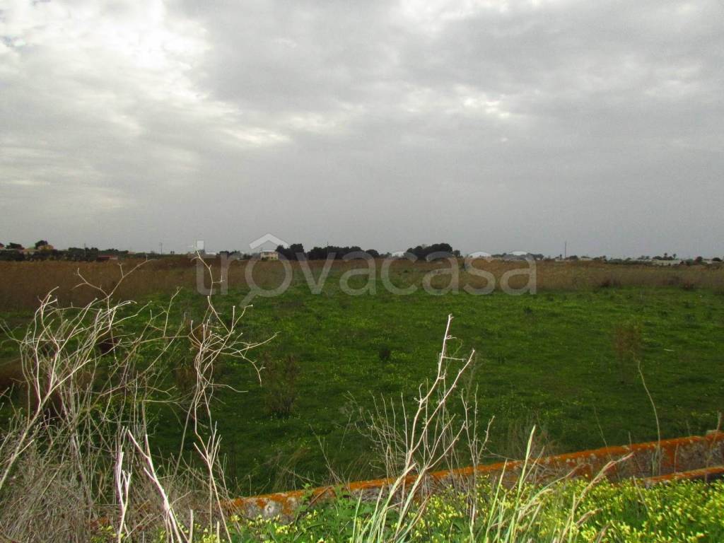 terreno agricolo in vendita a Menfi