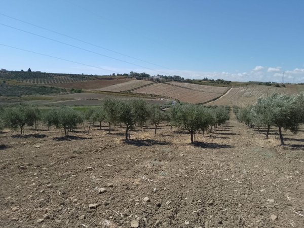 rudere in vendita a Menfi in zona Porto Palo