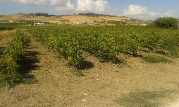 terreno edificabile in vendita a Menfi