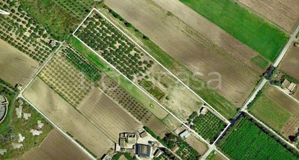 terreno agricolo in vendita a Menfi