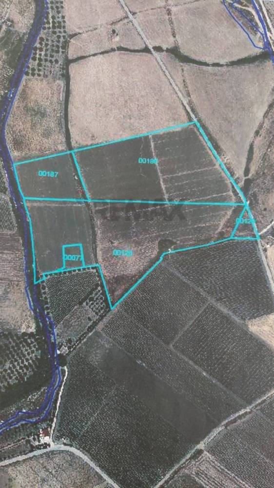 casa indipendente in vendita a Menfi