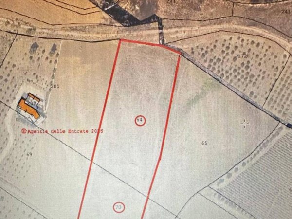 terreno agricolo in vendita a Menfi