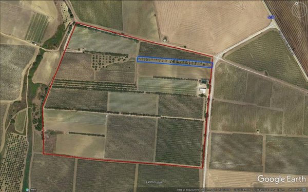 terreno agricolo in vendita a Menfi