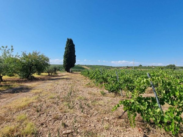 locale di sgombero in vendita a Menfi