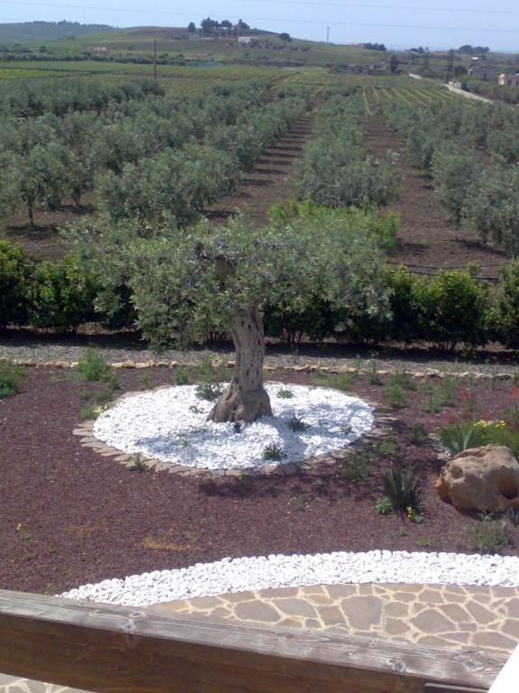 casa indipendente in vendita a Menfi in zona Torrenuova
