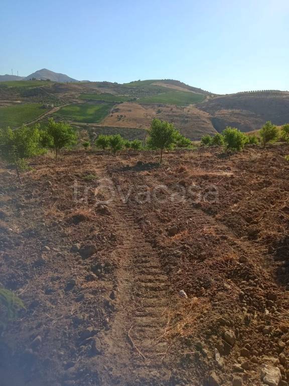 terreno agricolo in vendita a Montallegro