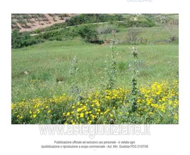 terreno agricolo in vendita a Montevago