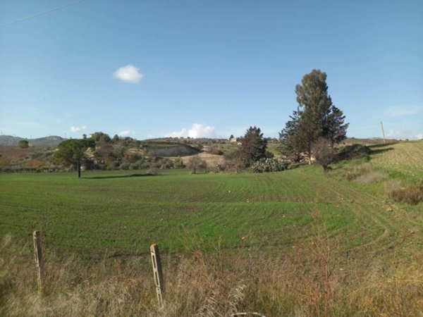 terreno agricolo in vendita a Naro