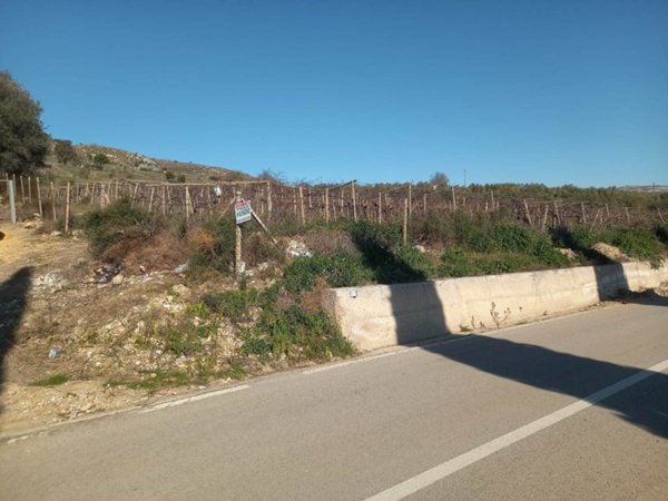 terreno agricolo in vendita a Naro