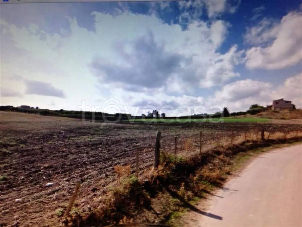 terreno agricolo in vendita a Naro