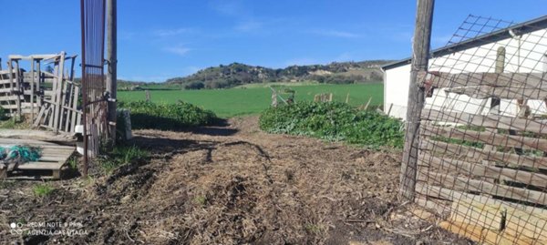 azienda agricola in vendita a Naro