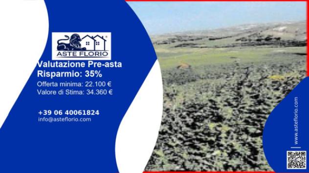 terreno agricolo in vendita a Naro