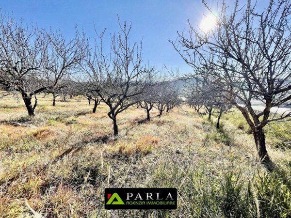 terreno agricolo in vendita a Naro