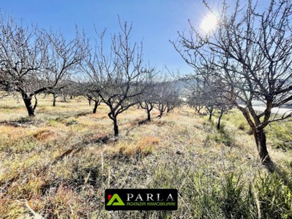 azienda agricola in vendita a Naro