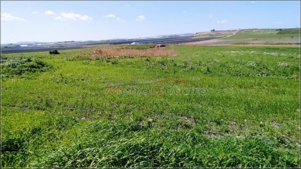 terreno agricolo in vendita a Naro