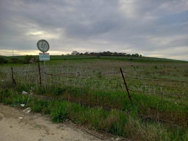 terreno agricolo in vendita a Naro