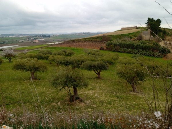 casa indipendente in vendita a Naro