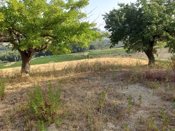 terreno agricolo in vendita a Naro