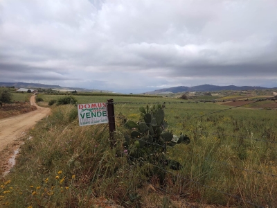 terreno agricolo in vendita a Naro
