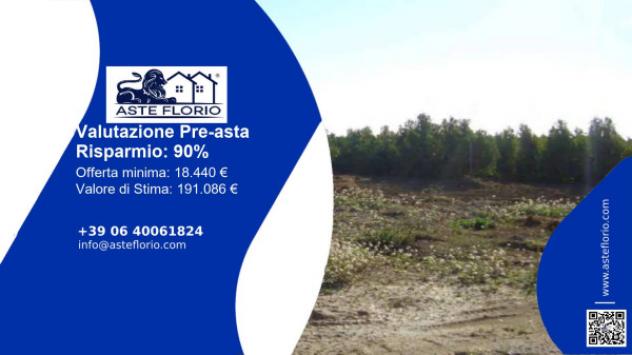 terreno agricolo in vendita a Naro