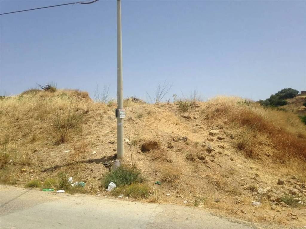 terreno agricolo in vendita a Naro
